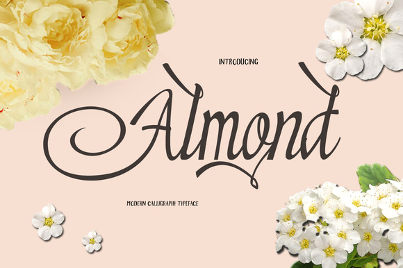 Almond: The Brush Script Font for Scroll-Stopping Marketing
