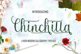 Chinchilla Font: A Luxury Script for Small Business Branding