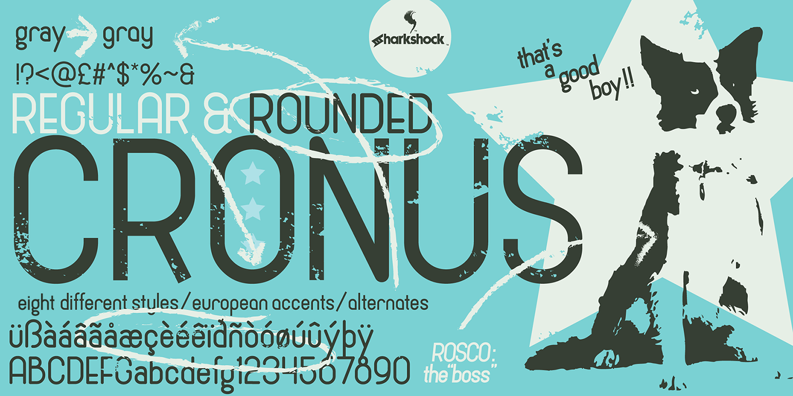 Cronus Typeface Review: A Rounded Sans Serif for Modern Brands
