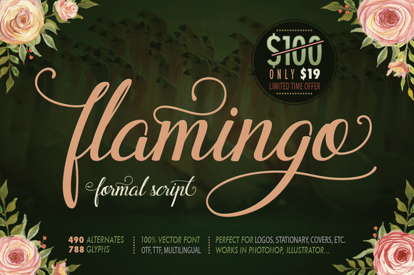 Flamingo: A Script Handwritten Font for Modern Web Design