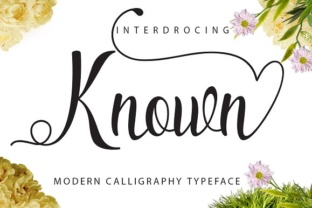 Known: A Handwritten Script Font for Editorial Design
