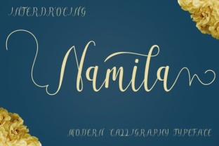 Namila Font Review: A Stunning Script for Designers