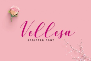 Using Vellesa Script for Elegant Branding and Design