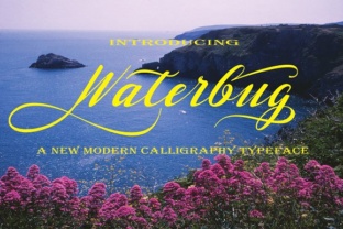 Waterbug Font Review: A Handwritten Typeface for Makers